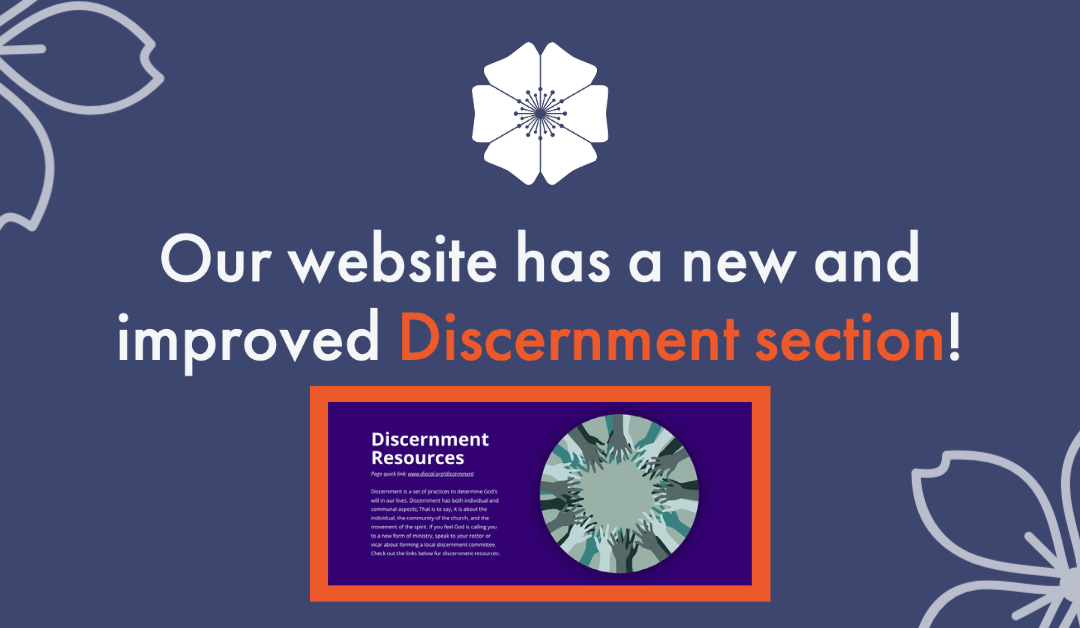 The Discernment web pages have been updated!